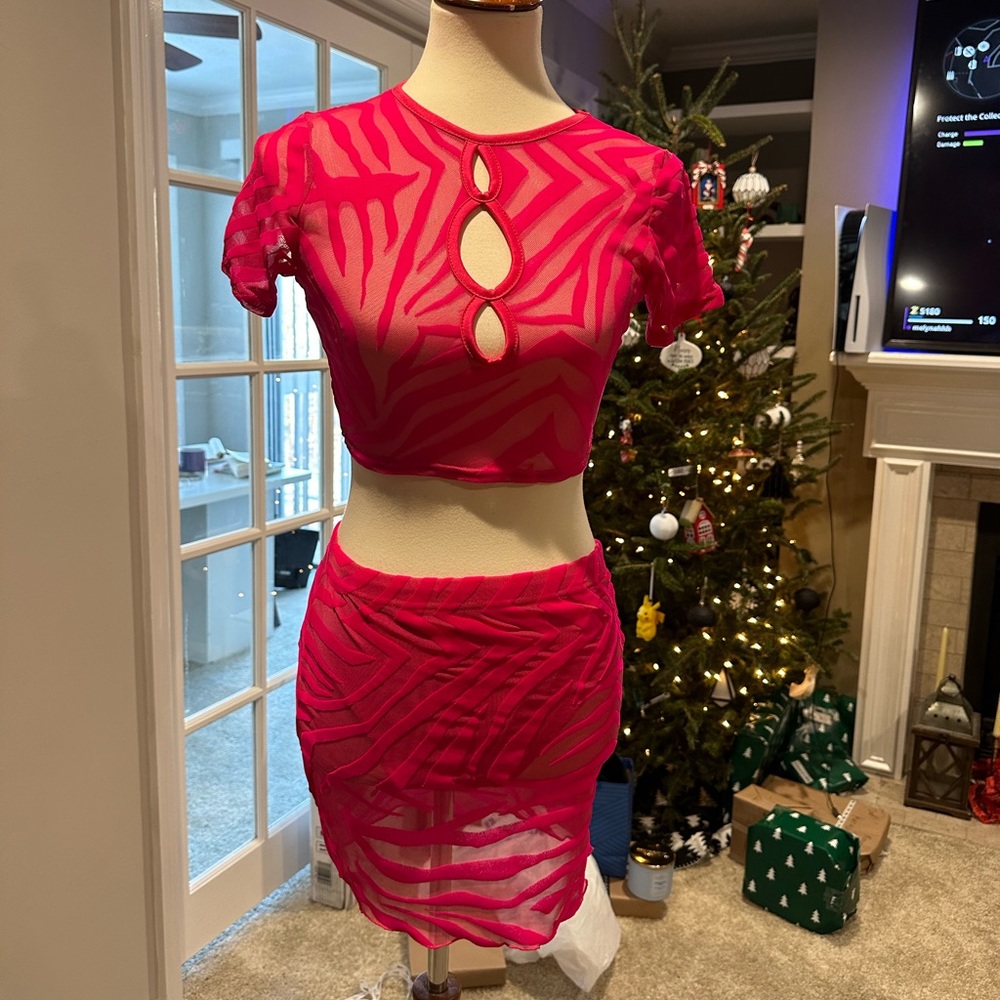 Pink Sheer Skirt Set